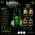 🌿 Clorofila Plus 500ml · Desintoxica, Energiza y Mejora tu Digestión desde el Primer Día · Bebida Natural con Soya, Cidra y Guanábana ·
